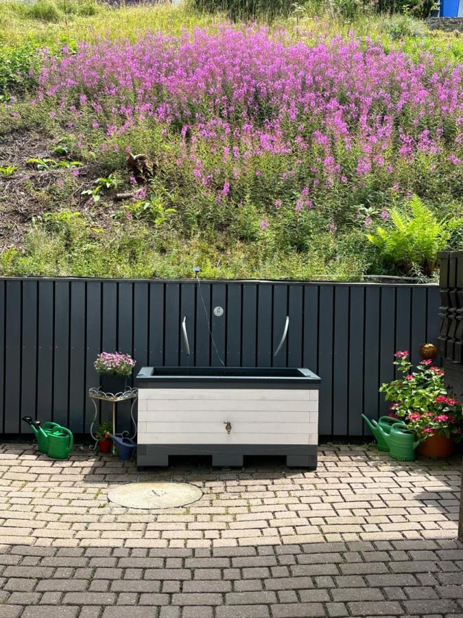 Modernes Top Apartment Mitten Im Bayerischen Wald + Wlan Kostenfrei Schofweg ภายนอก รูปภาพ