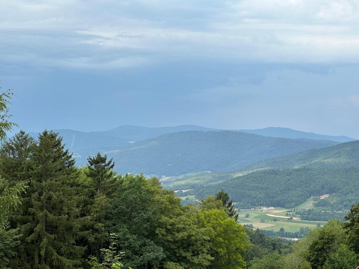 Modernes Top Apartment Mitten Im Bayerischen Wald + Wlan Kostenfrei Schofweg ภายนอก รูปภาพ